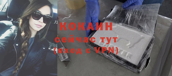 индика Баксан