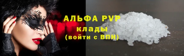 индика Баксан