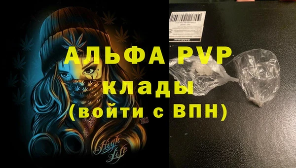 хмурый Снежногорск