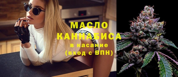 индика Баксан