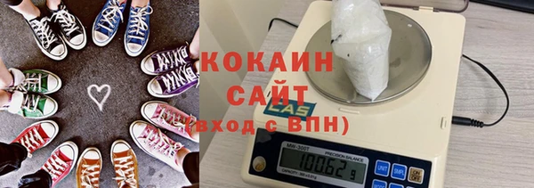 индика Баксан