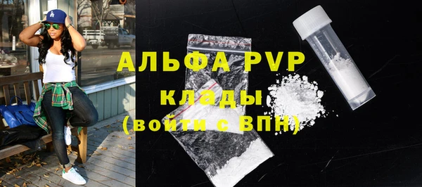 индика Баксан