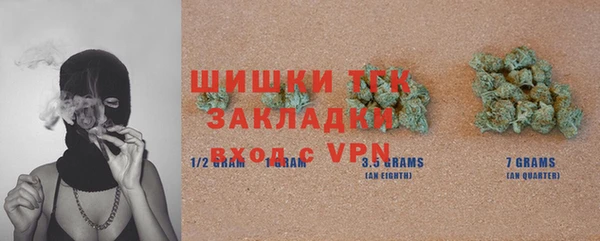 индика Баксан