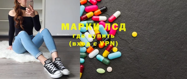 индика Баксан