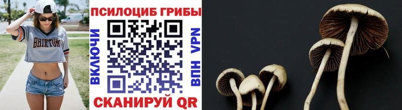 кракен ссылки  Белово  Галлюциногенные грибы GOLDEN TEACHER 